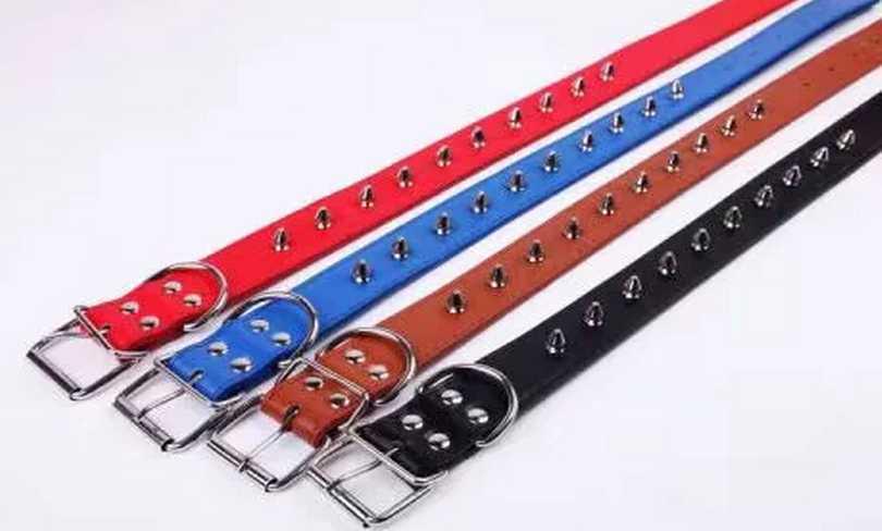 STUDS COLLAR 3.0 (360)