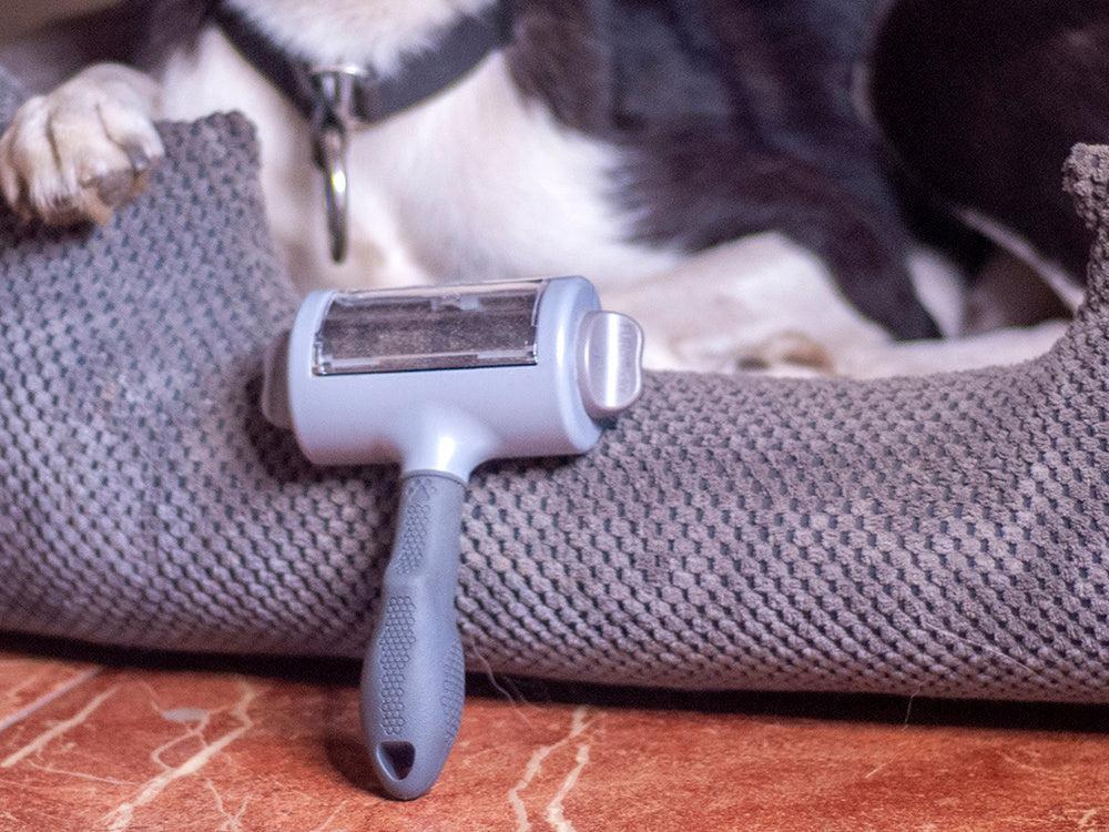 Brush roller roller for cleaning off dog hair