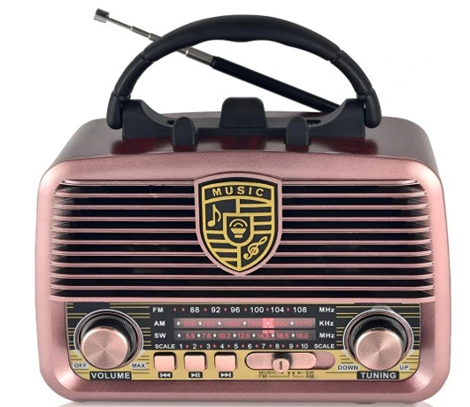 RADIO ICF-F24 (40)
