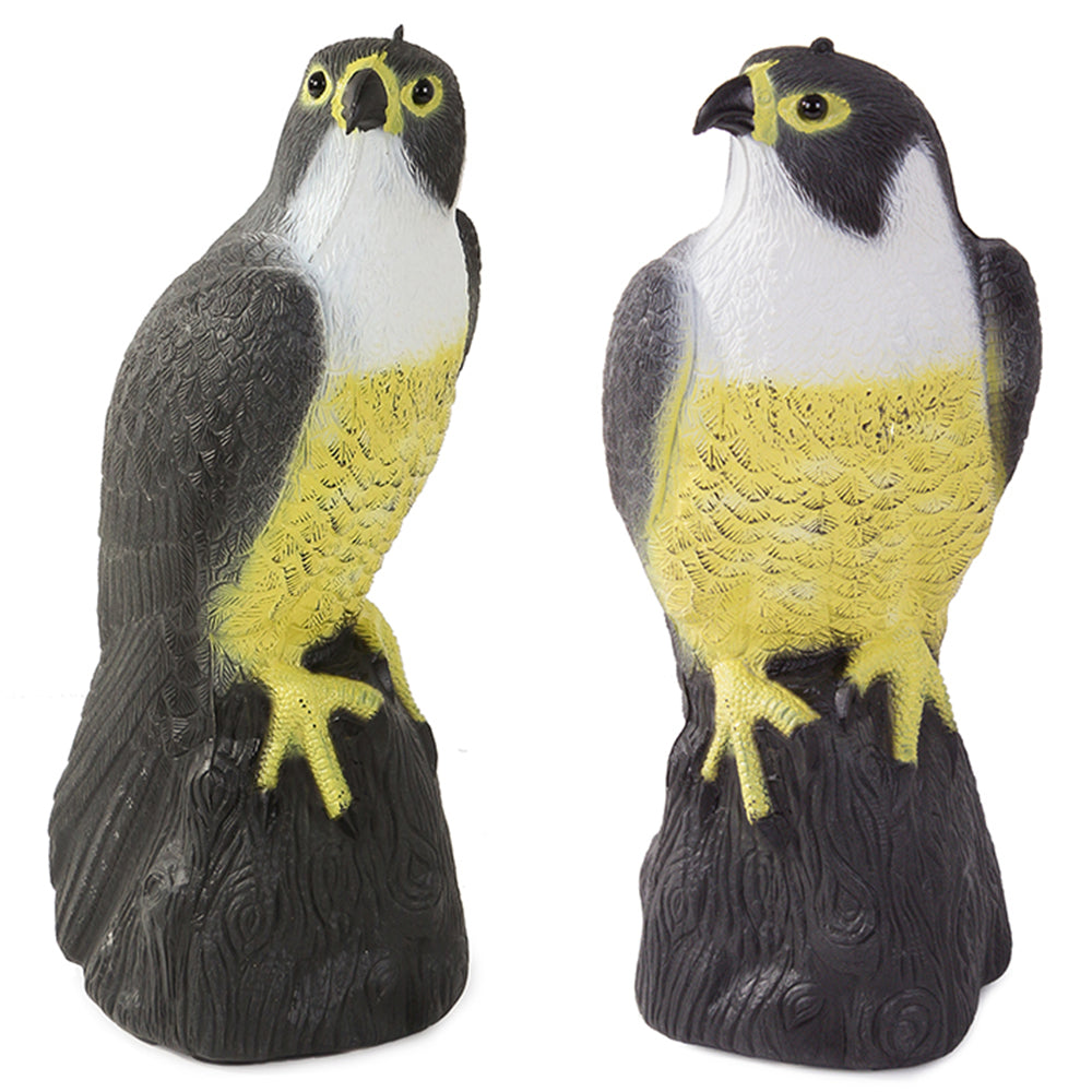 Птицегон Falcon на скорци гълъби и мишки