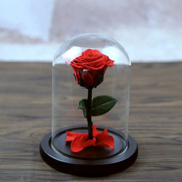 Вечна роза в стъкленица от Красавицата и Звяра - 17 см, червена и бяла - ELIARD.BG